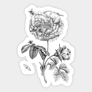 Rose Flower with Insects Sticker